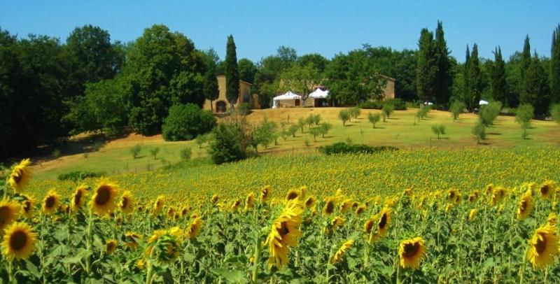 Agriturismo Natura E Salute San Gimignano Exteriör bild