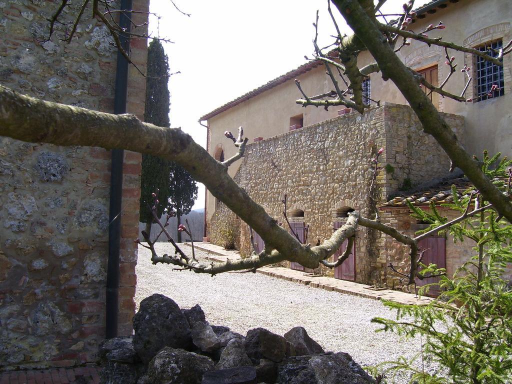 Agriturismo Natura E Salute San Gimignano Exteriör bild